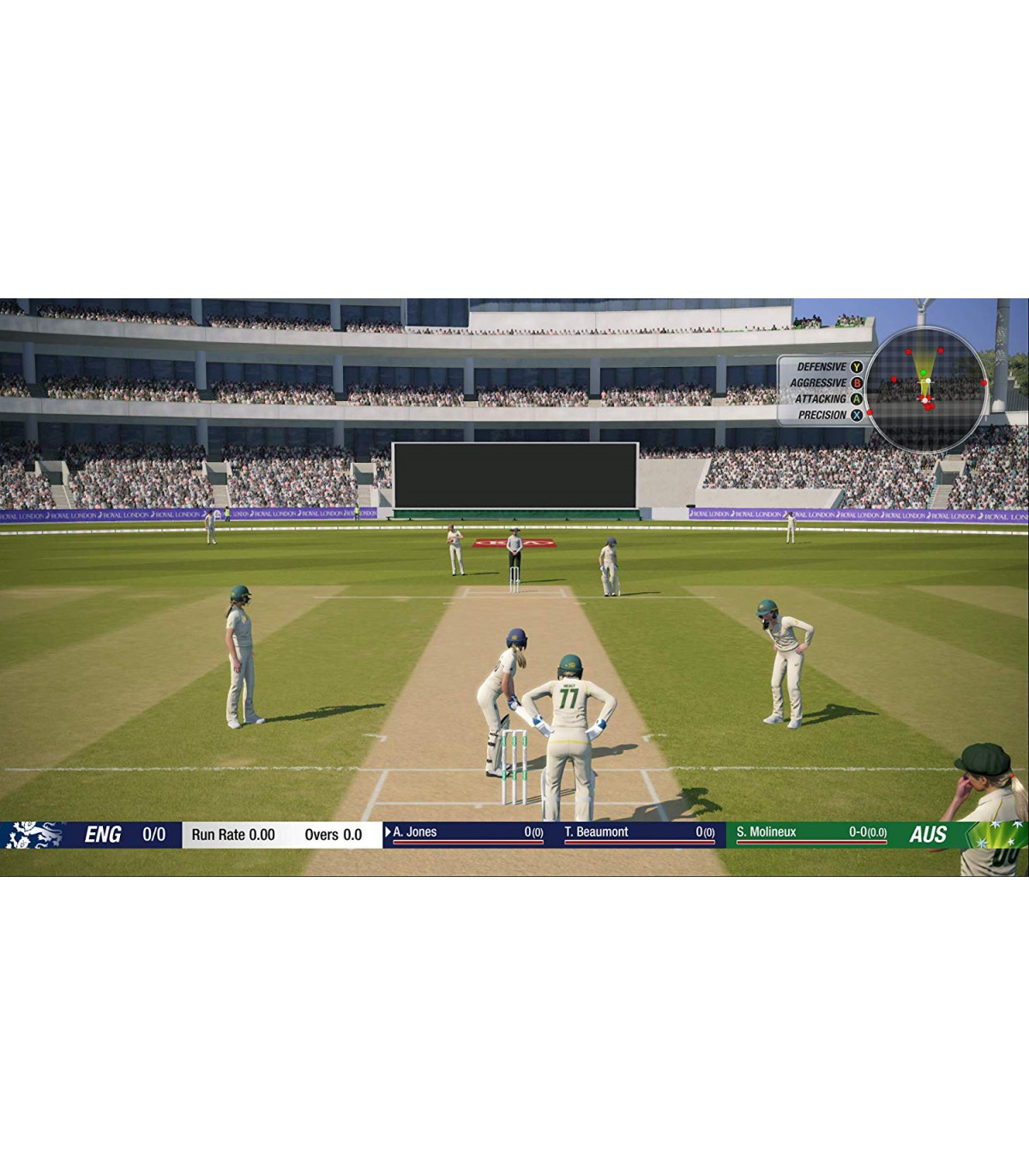 بازی Cricket 19 International Edition - پلی استیشن 4