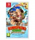 بازی Donkey Kong Country Tropical Freeze کارکرده - نینتندو سوئیچ